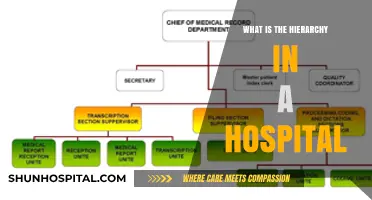 Hospital Hierarchy: Understanding the Chain of Command