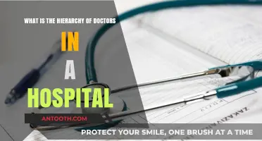 Understanding the Hospital Doctor Hierarchy: Roles and Responsibilities Explained