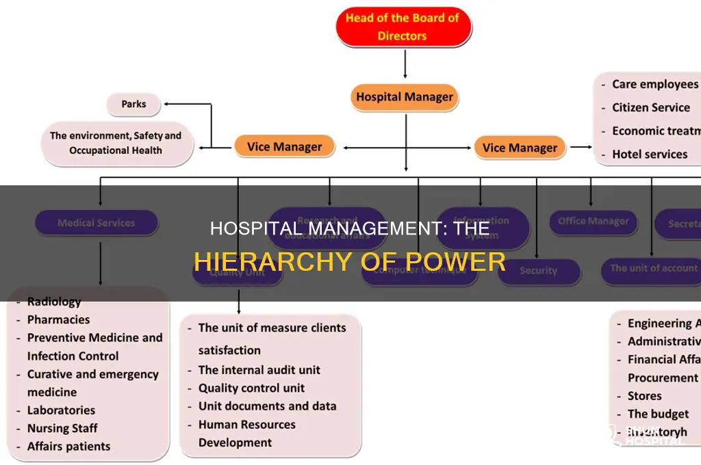 what is the hierarchy of hospital administration