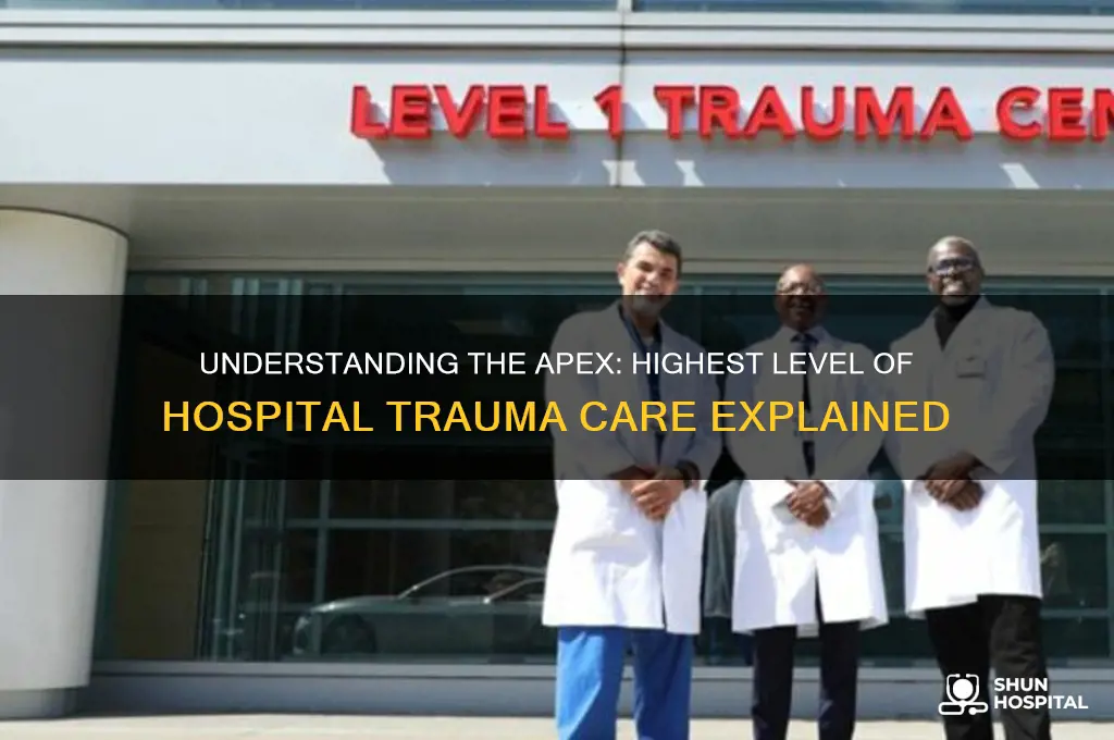 what is the highest level of hospital trauma care