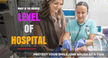 The Pinnacle of Healthcare: Highest-Level Hospitals