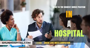 Exploring the Pinnacle: The Highest Nurse Position in Hospitals