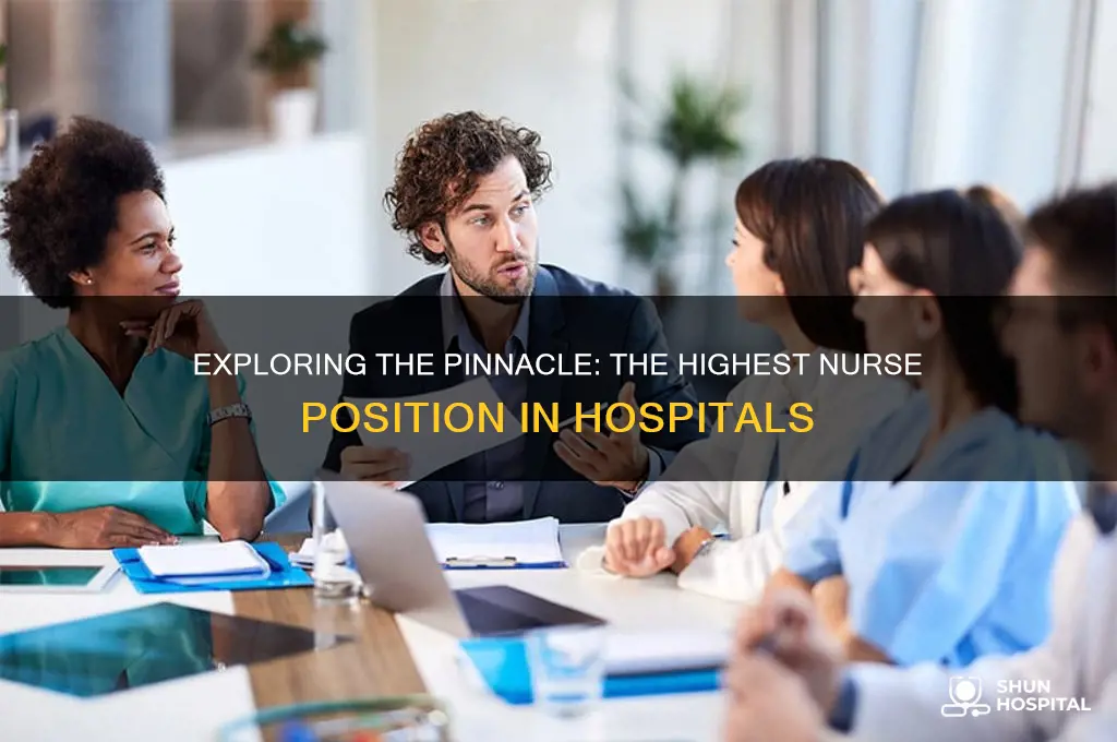 what is the highest nurse position in a hospital