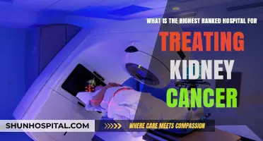 Top-Ranked Hospitals for Kidney Cancer Treatment: Expert Care Guide