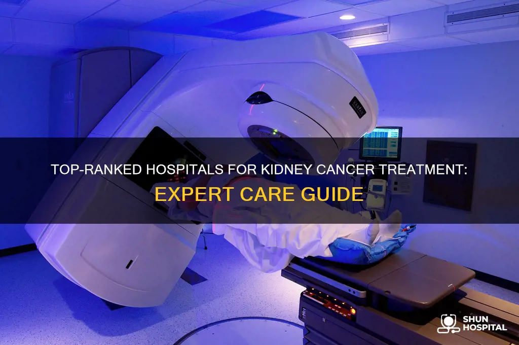 what is the highest ranked hospital for treating kidney cancer