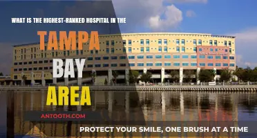 Tampa Bay's Top Hospital: Ranking the Best in Healthcare Excellence