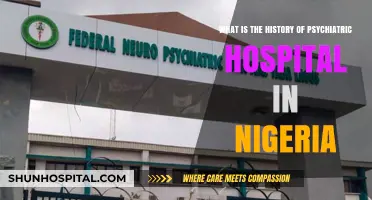 Exploring Nigeria's Psychiatric Hospital History: Evolution, Challenges, and Milestones