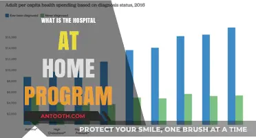Hospital at Home: Healthcare's Future?