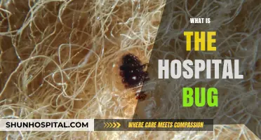 Unveiling the Truth: Understanding the Notorious Hospital Bug