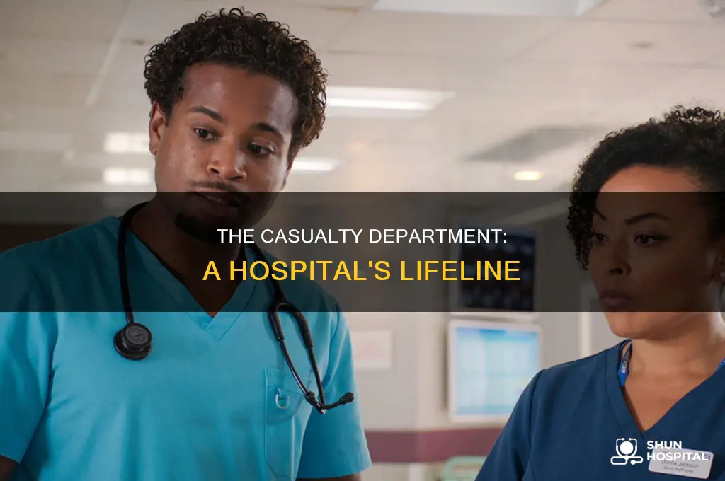 what is the hospital called in casualty