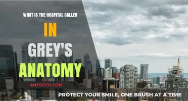 Exploring Grey's Anatomy: The Iconic Hospital's Real Name Revealed