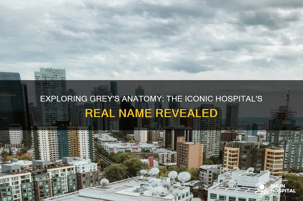 what is the hospital called in grey