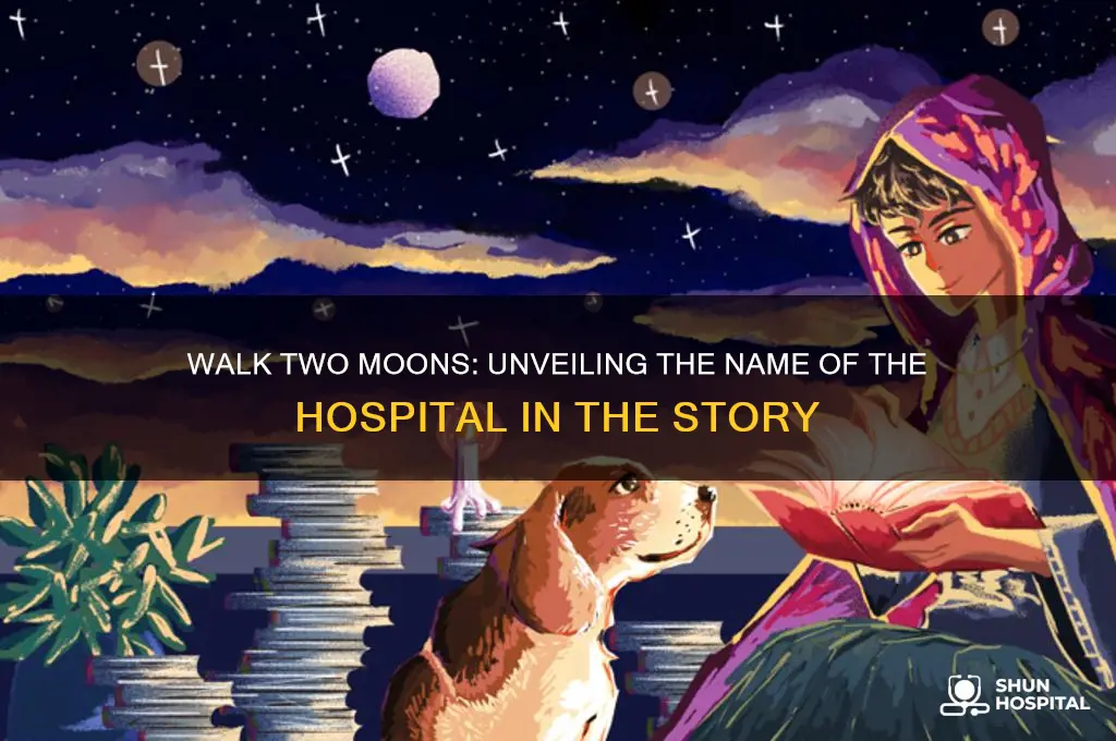 what is the hospital called in walk two moons