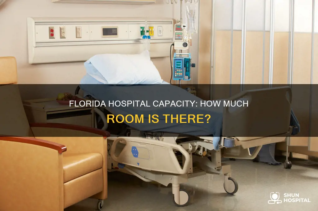 what is the hospital capacity in florida