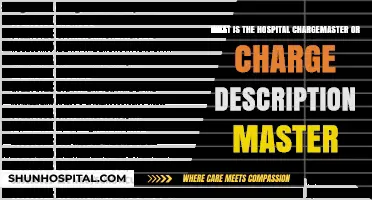 Understanding the Hospital Chargemaster: A Comprehensive Guide to CDM Basics