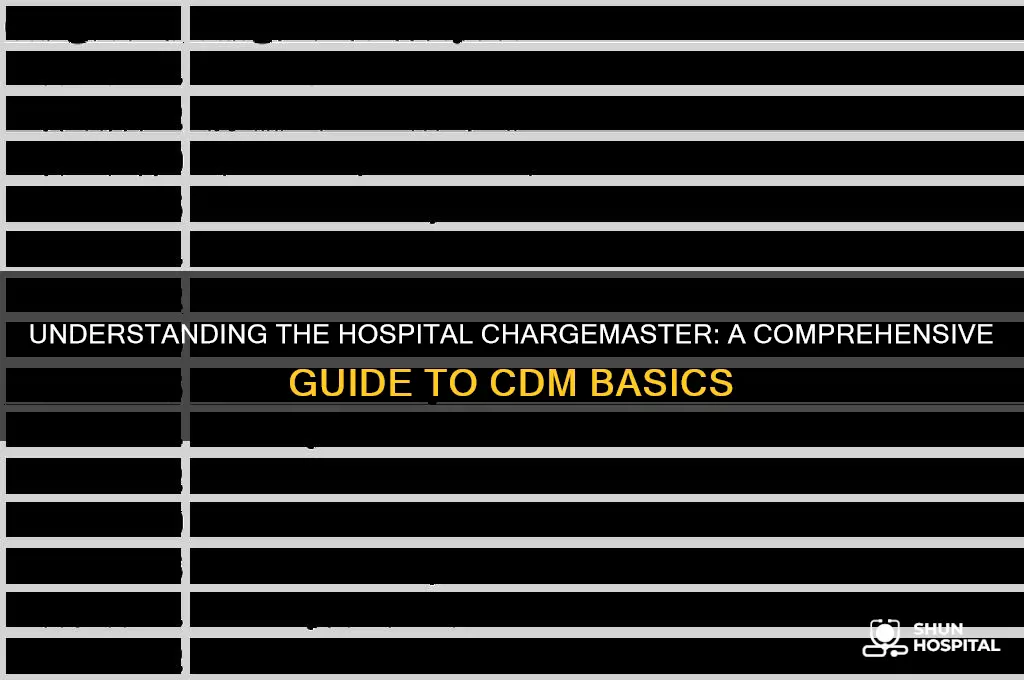 what is the hospital chargemaster or charge description master