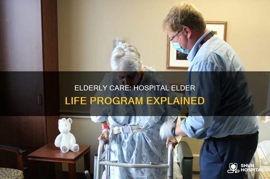 what is the hospital elder life program