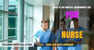 Nursing in Hospitals: A Glimpse into the Daily Work Environment