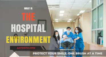Exploring the Dynamics of a Hospital Environment: A Comprehensive Guide