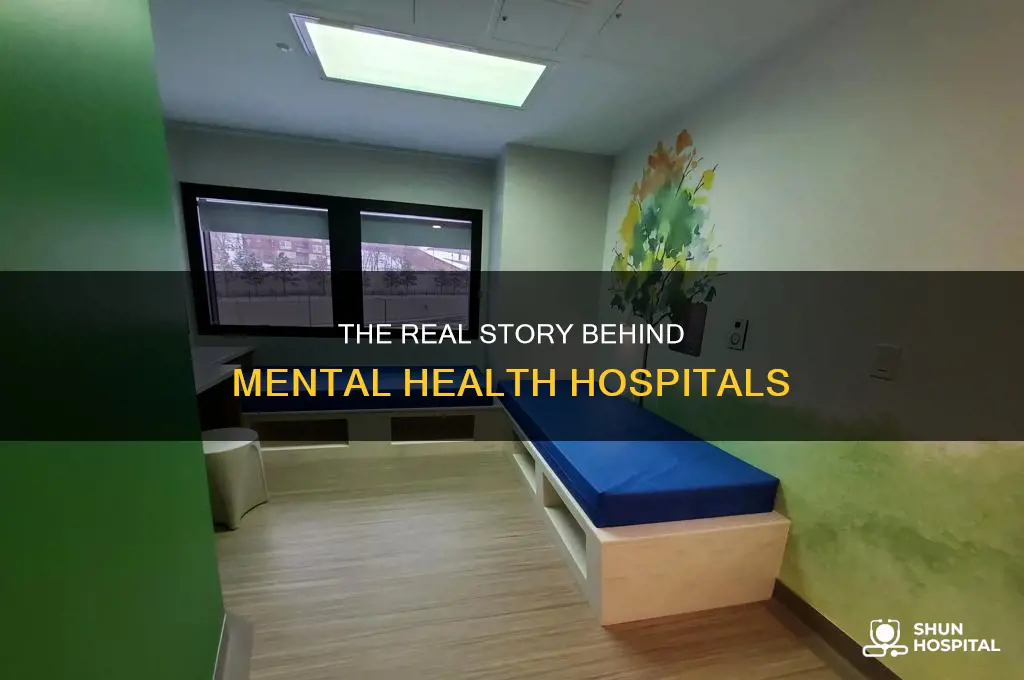 what is the hospital for crazy people