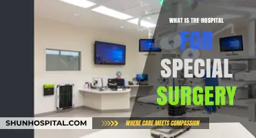 Special Surgery Hospital: Expertise and Innovation