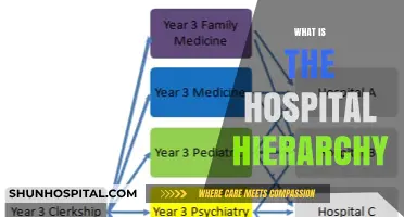 Understanding the Structure: A Guide to Hospital Hierarchy