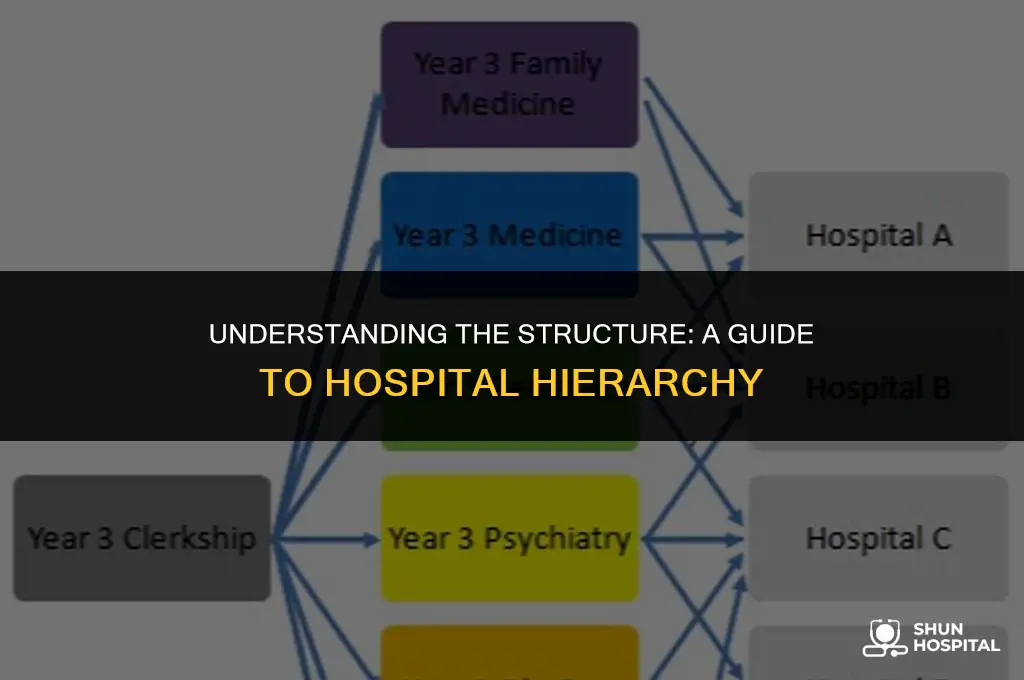 what is the hospital hierarchy