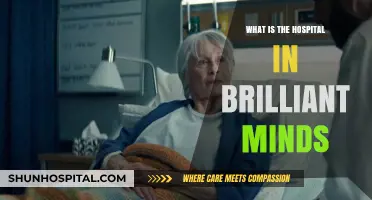 Brilliant Minds: Unraveling the Hospital Setting