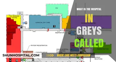 The Hospital in Grey's Anatomy: A Comprehensive Overview