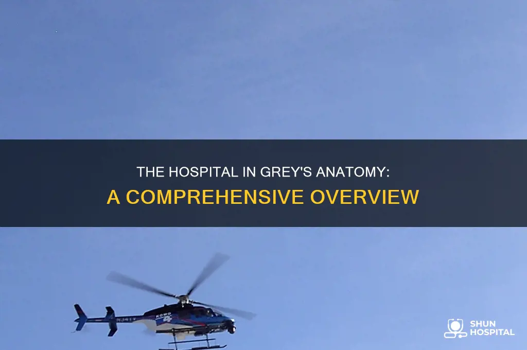 what is the hospital in greys called