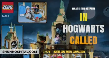 Hogwarts Infirmary: A Place of Healing and Mystery