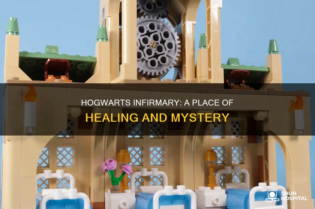 what is the hospital in hogwarts called