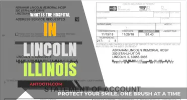 Lincoln, Illinois: Hospital Options and Services