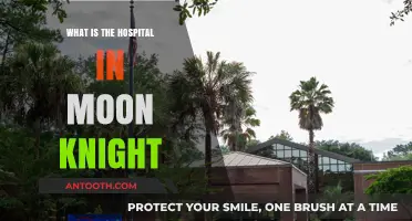 Moon Knight's Hospital: A Place of Mystery and Intrigue