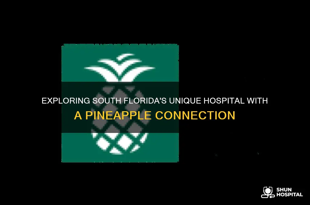 what is the hospital in south florida with pinapple