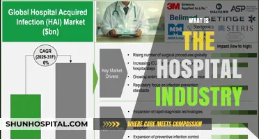 Exploring the Complexities of the Hospital Industry: A Comprehensive Guide