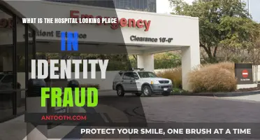 Unmasking Identity Fraud: The Role of Hospital-Like Facilities in Scams