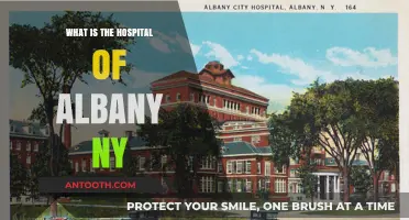 Albany Medical Center: A Comprehensive Healthcare Facility