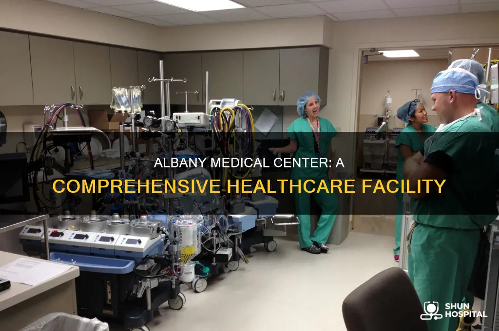 what is the hospital of albany ny