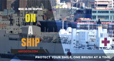 Hospital at Sea: Medical Care on a Ship