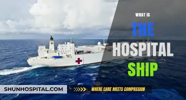 Exploring the Lifeline of Maritime Medicine: What Is a Hospital Ship?