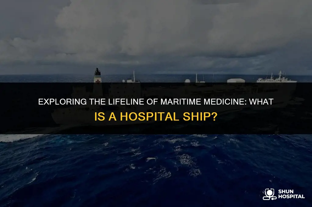 what is the hospital ship