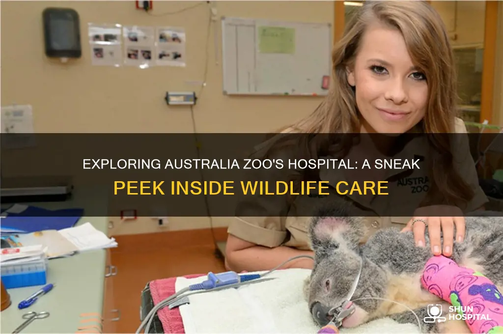 what is the hospital sneak peek at australia zoo
