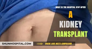 Understanding Your Hospital Stay Post-Kidney Transplant: What to Expect