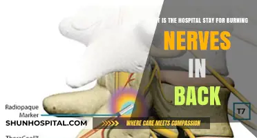 Understanding Hospital Stay for Back Nerve Burning Procedures: What to Expect