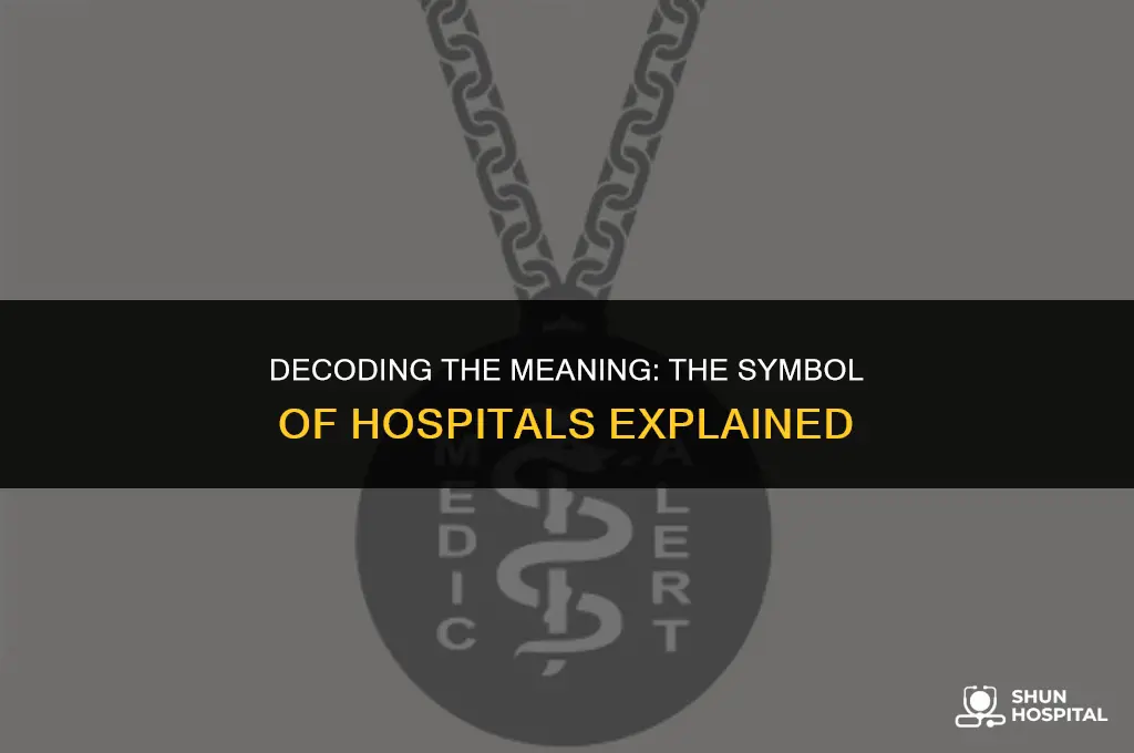 what is the hospital symbol