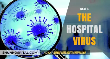 Understanding the Hospital Virus: Causes, Symptoms, and Prevention
