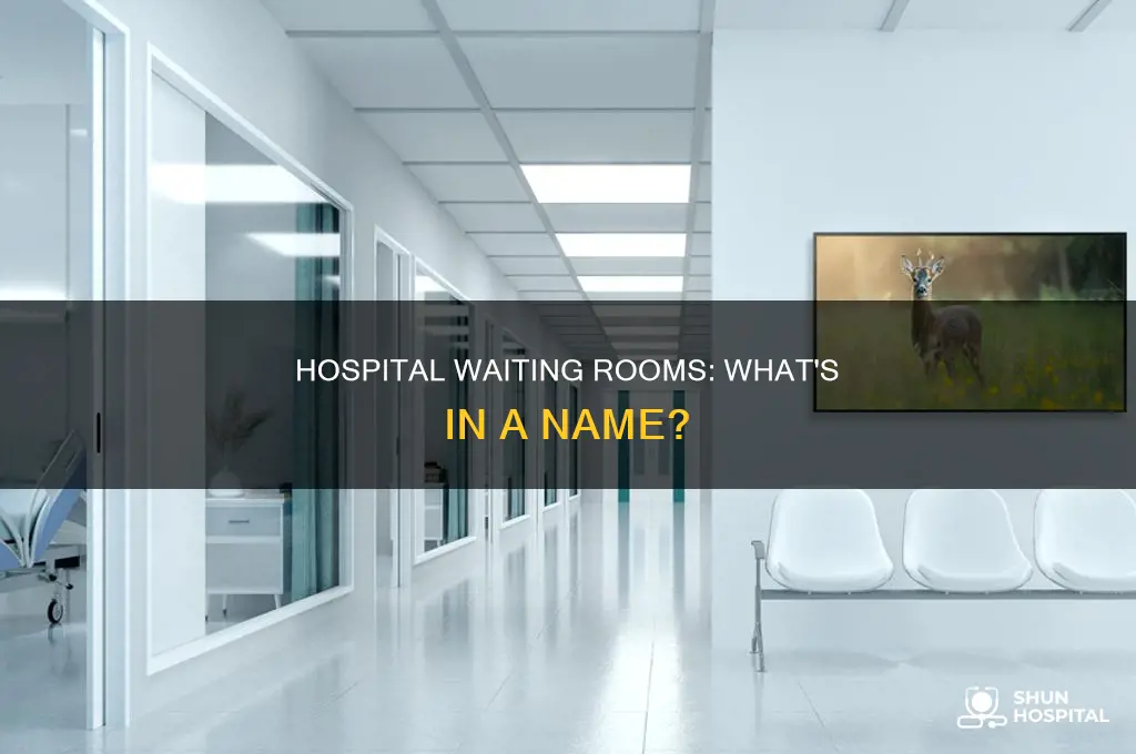 what is the hospital waiting room called