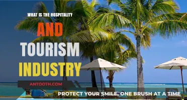 Hospitality and Tourism: Exploring the Industry