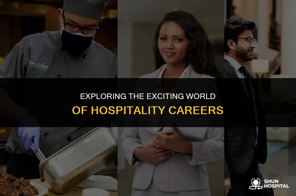 what is the hospitality career